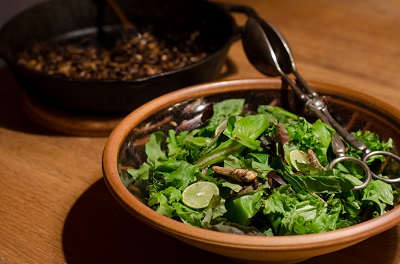 grasshopper-recipe-hopping-thai-salad-bug-vivant