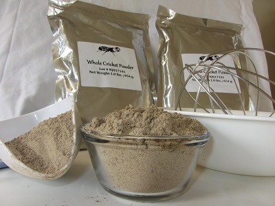 Cricket Flour Review