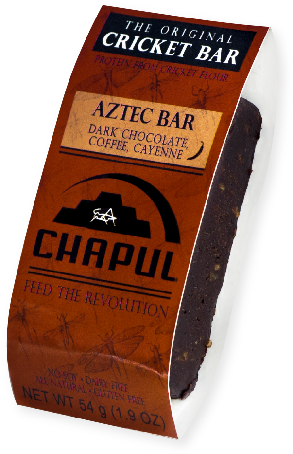 chapul aztec bar, edible insect, review