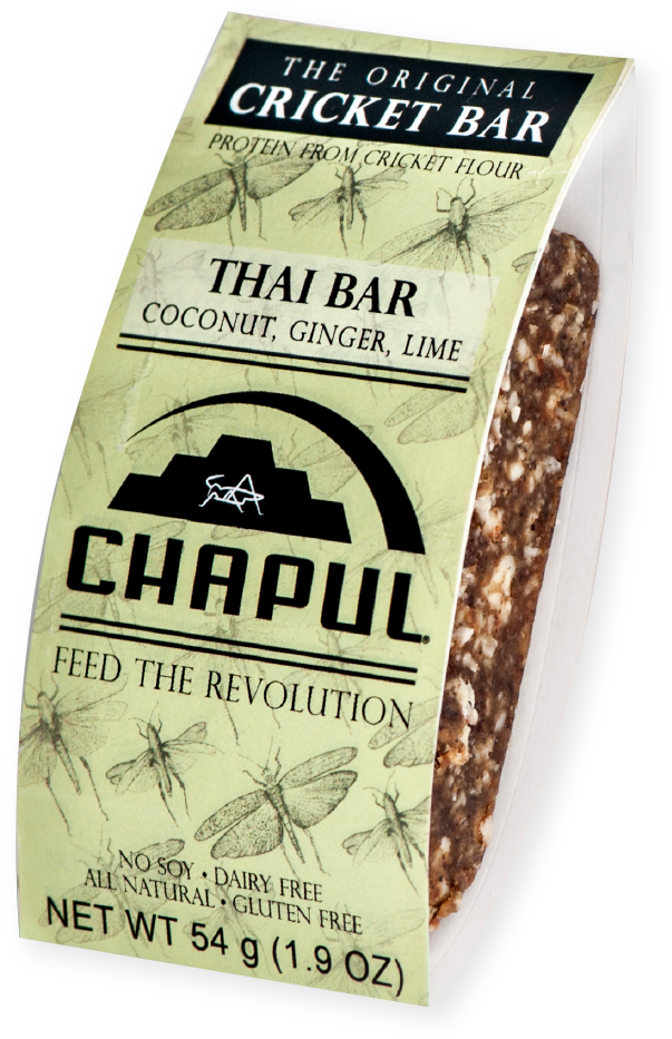 chapul thai bar, edible insects