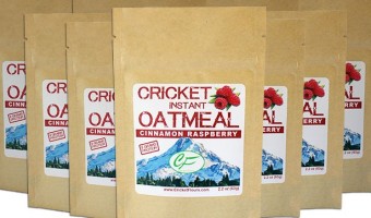 cricket-flours-edible-insect-foods-bug-wall