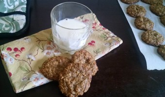 oatmeal-cricket-cookies-8