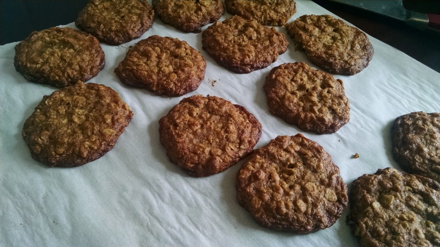 oatmeal-cricket-cookies-7