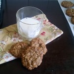oatmeal-cricket-cookies-8